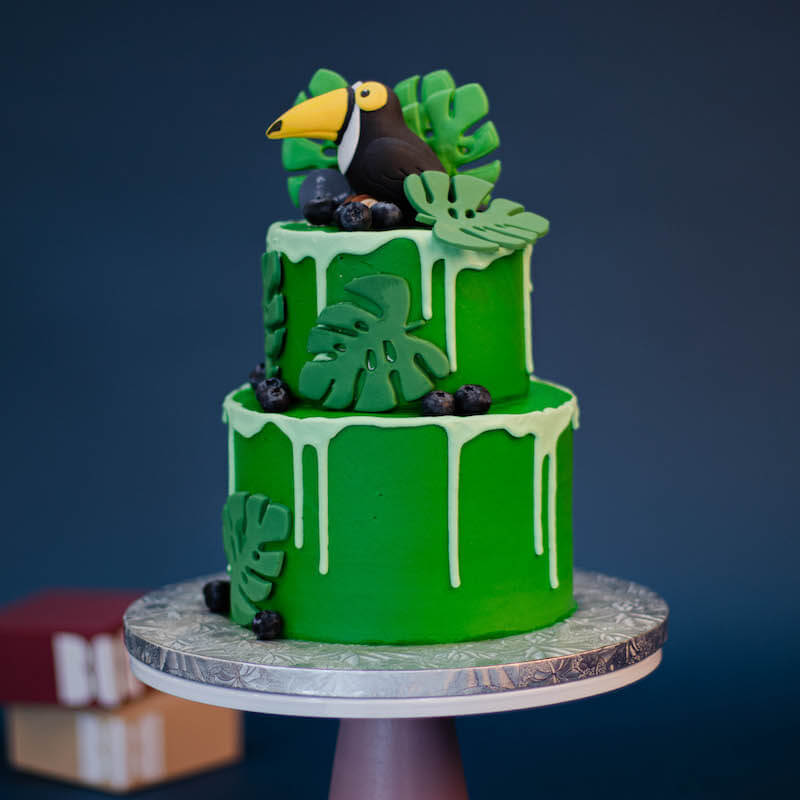Toucan Garden Cake with Monstera Leaves